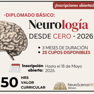 Diplomado Básico: Neurología desde cero.
