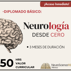 Diplomado Básico: Neurología desde cero.