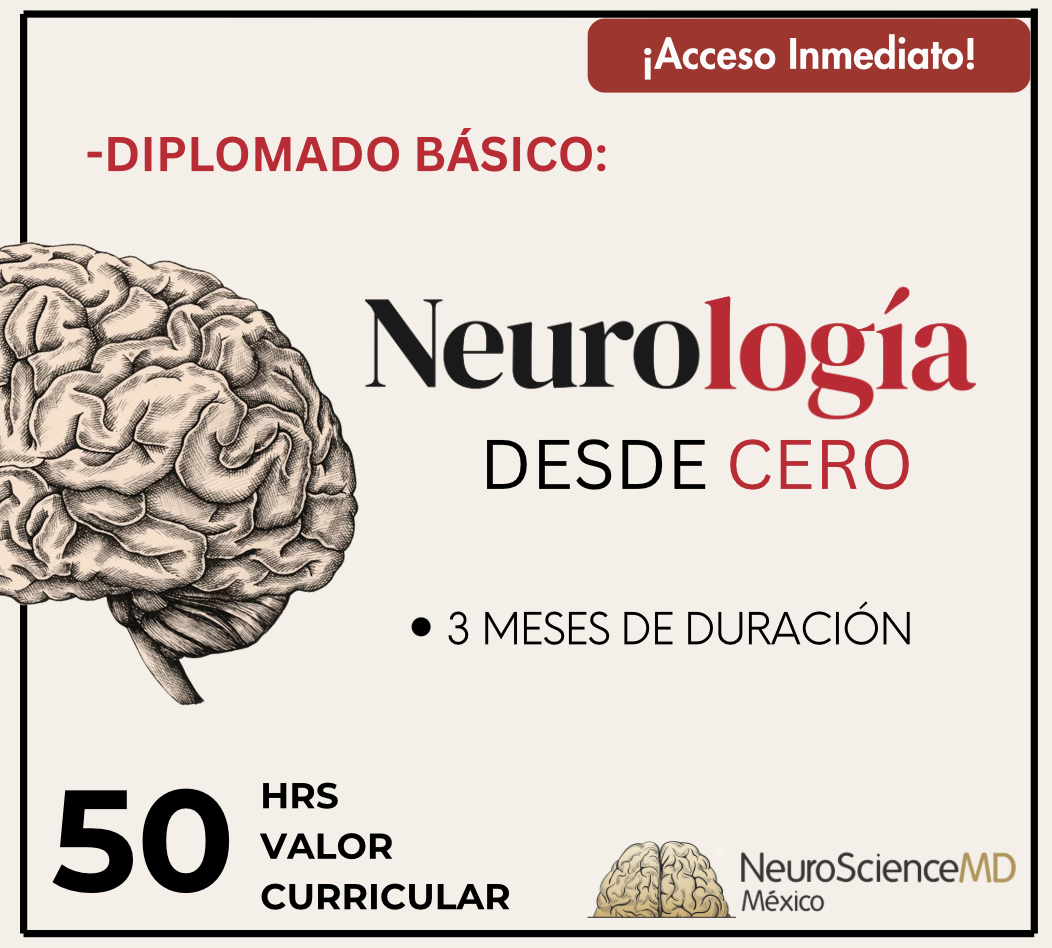 Diplomado Básico: Neurología desde cero.