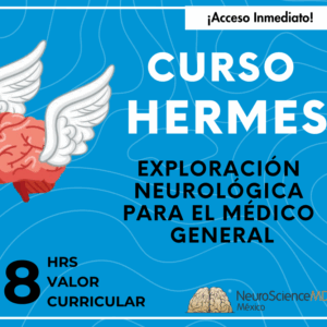 Hermes: Exploración Neurológica para el médico general